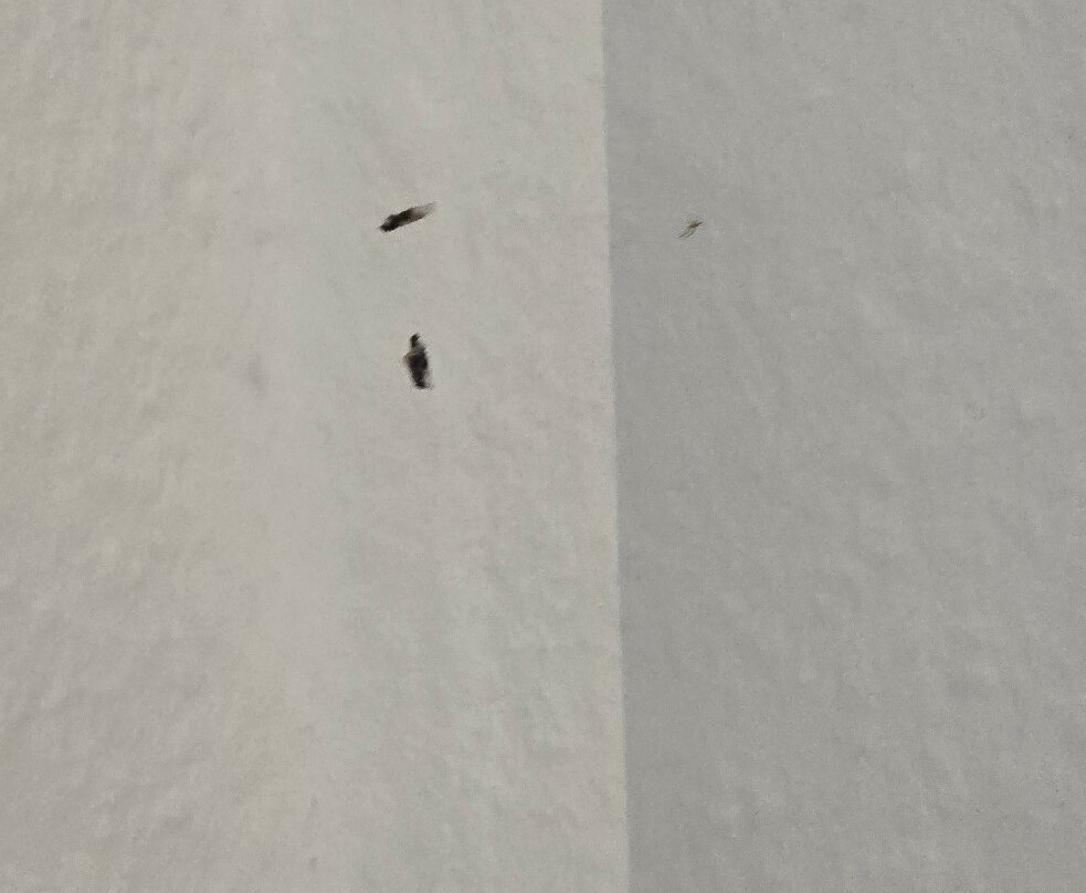 Hotel Schloss Storkau主图