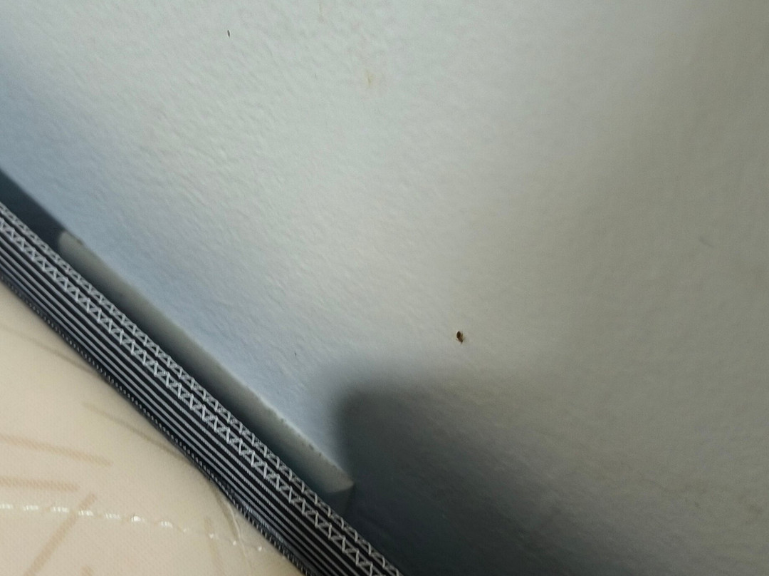 Hotel Lord Star主图