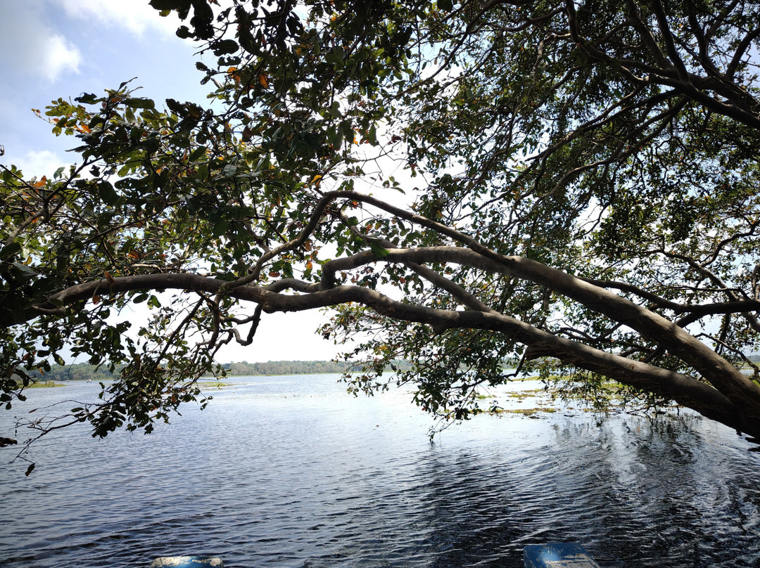 Umigo Lanka Tours-Ganemulla必去景点