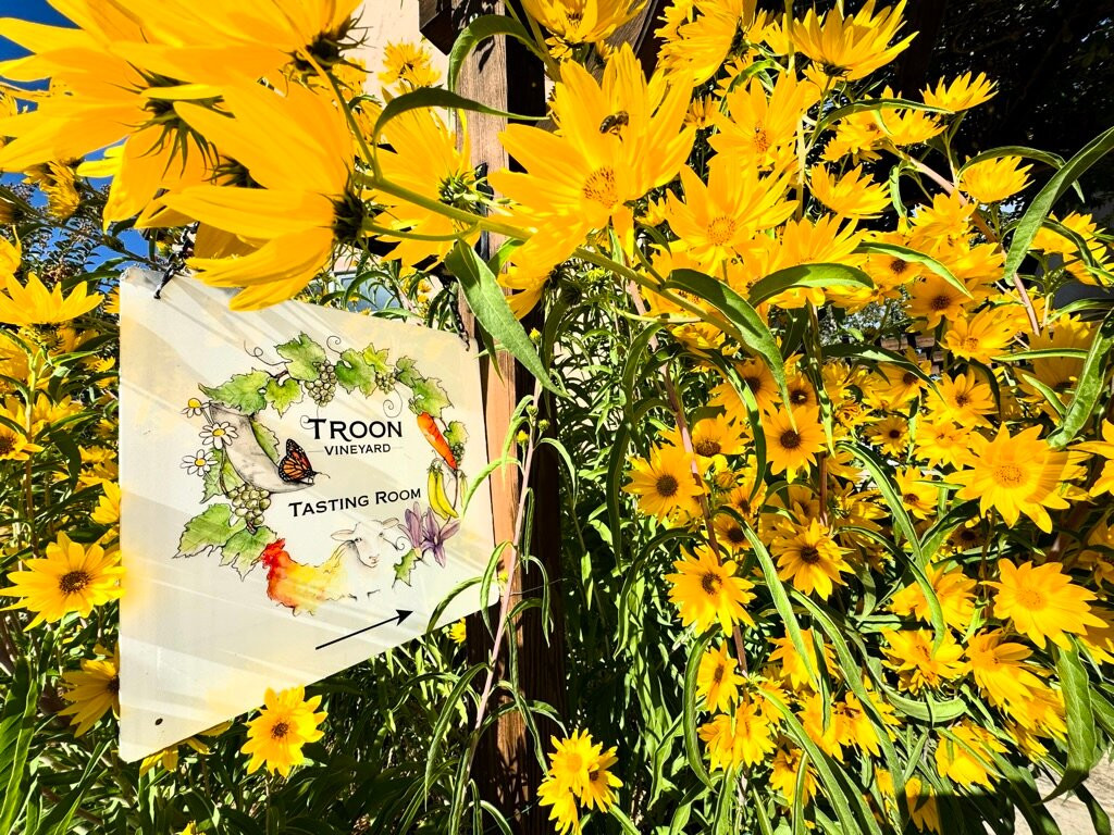 Troon Vineyard-格兰茨帕斯必去景点