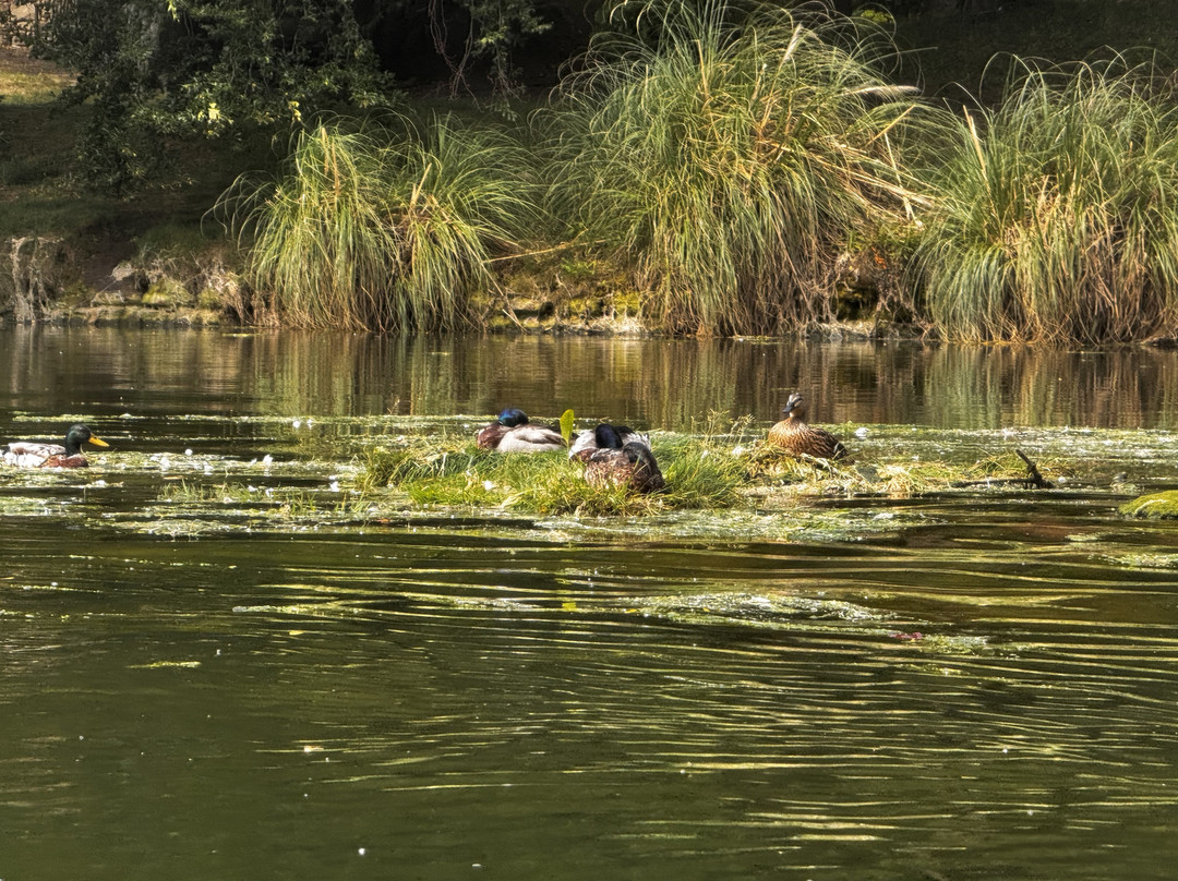 Fearless Adventure-Amble必去景点