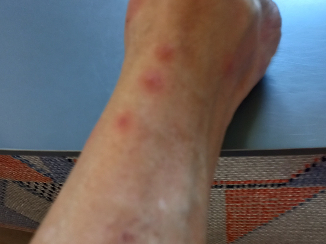 La roche des Fées-拉布尔布尔必去景点