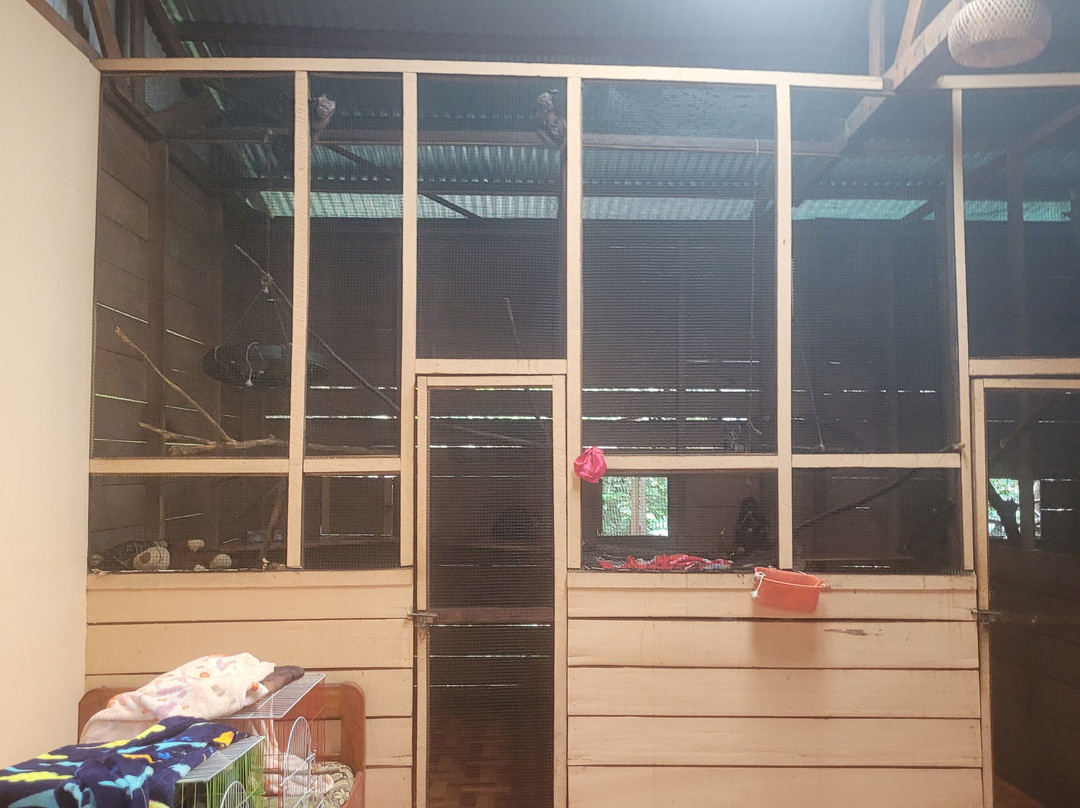 Amazon Shelter-马尔多纳多港必去景点