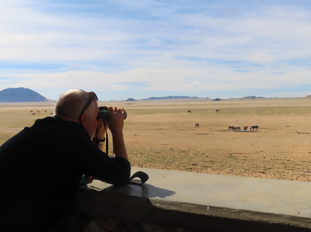 Wild Horses of Aus-Aus必去景点