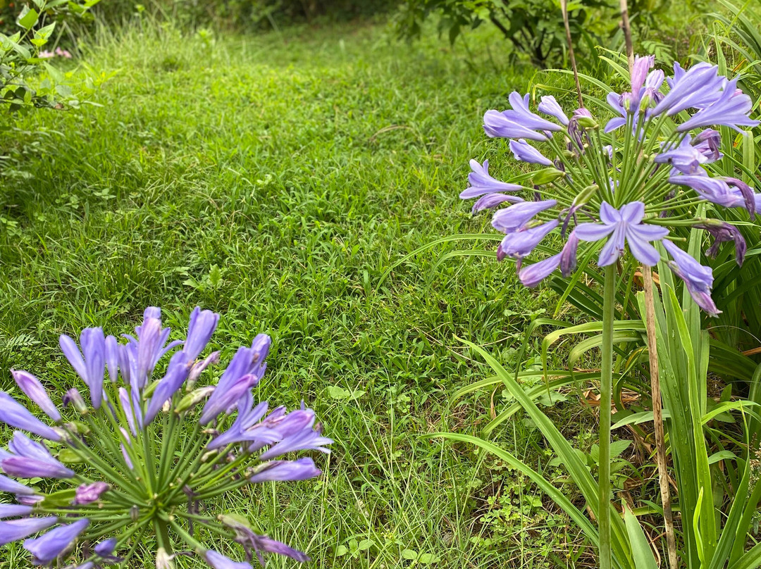 The Lodge At Wah, Kandbari主图