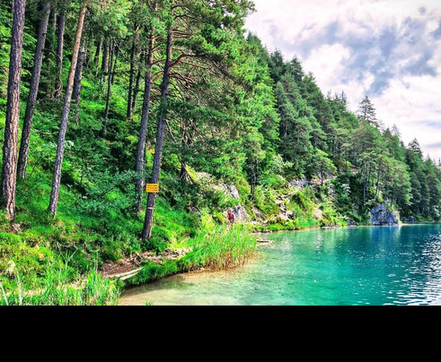 Familienhotel Kreuzwirt主图