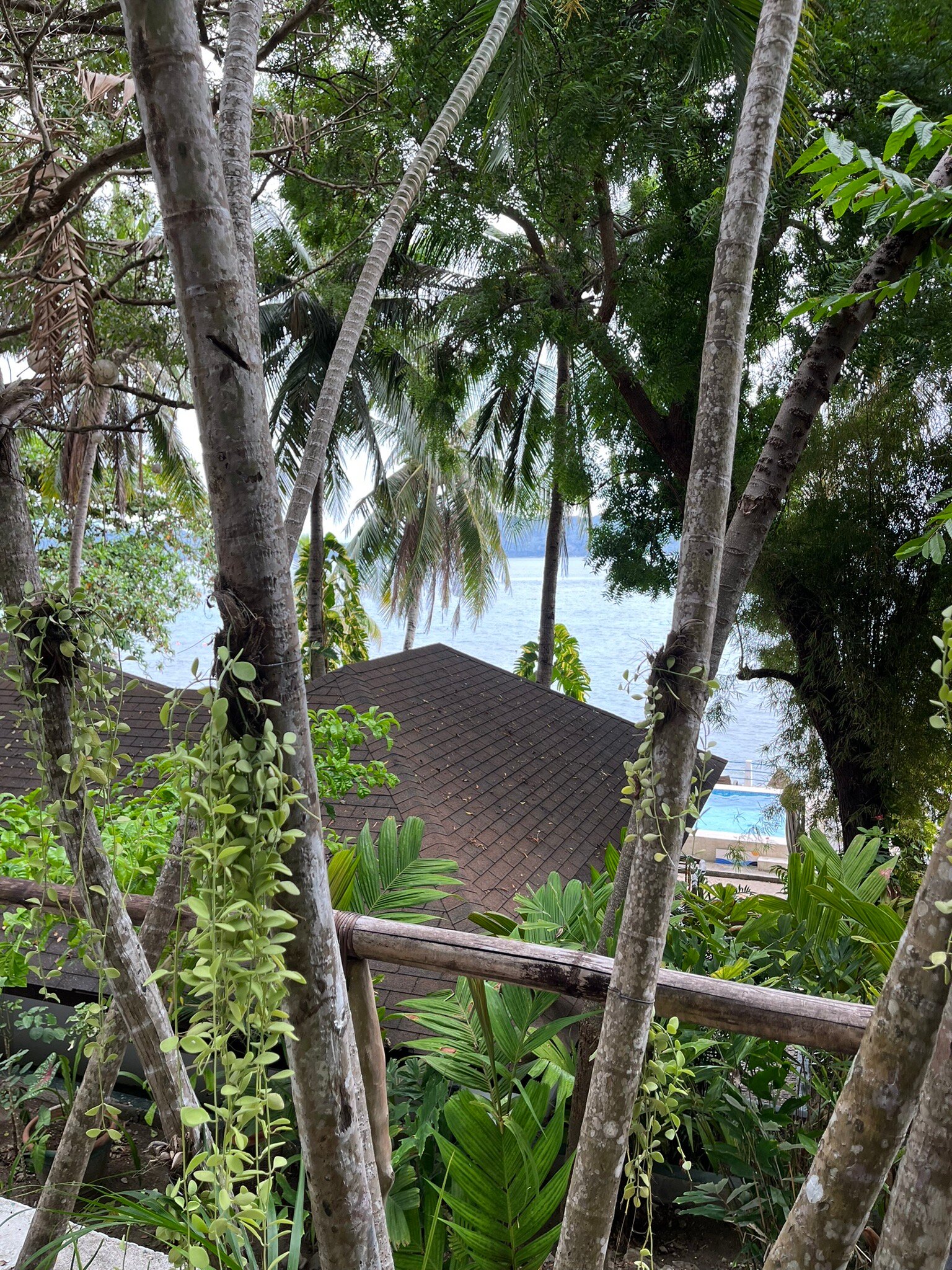 Dive Solana Resort-官方