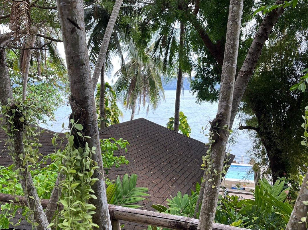 Dive Solana Resort主图