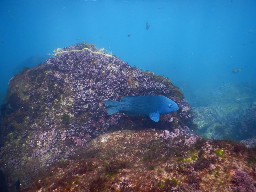 Watersports Guru-Kingscliff必去景点