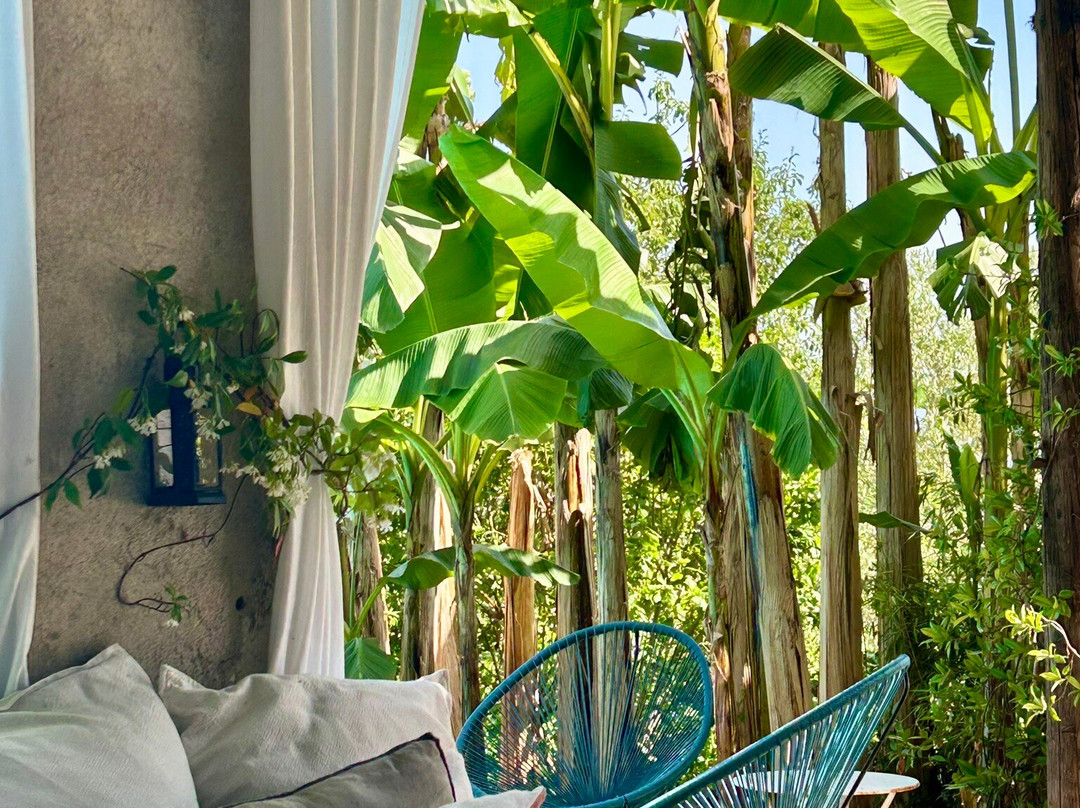 La Maison Castaings主图