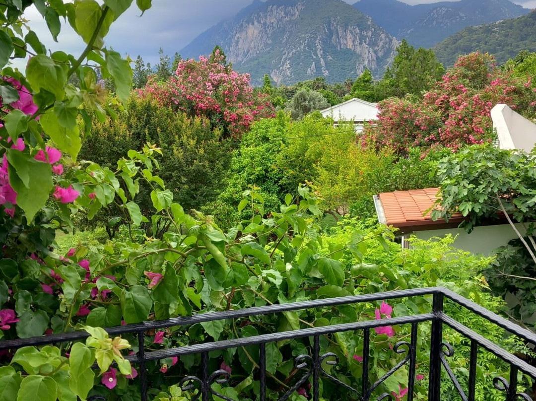 Hemerans Anatolia Resort Hotel主图