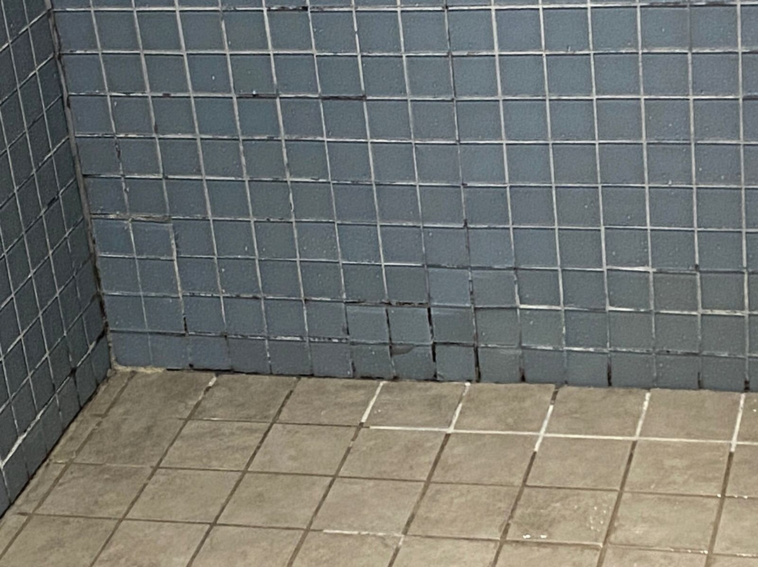 Exe Oriental Panama主图