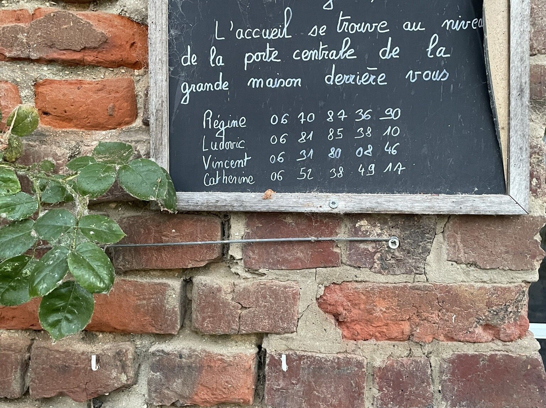 Domaine De La Ferme De Ribeaufontaine主图
