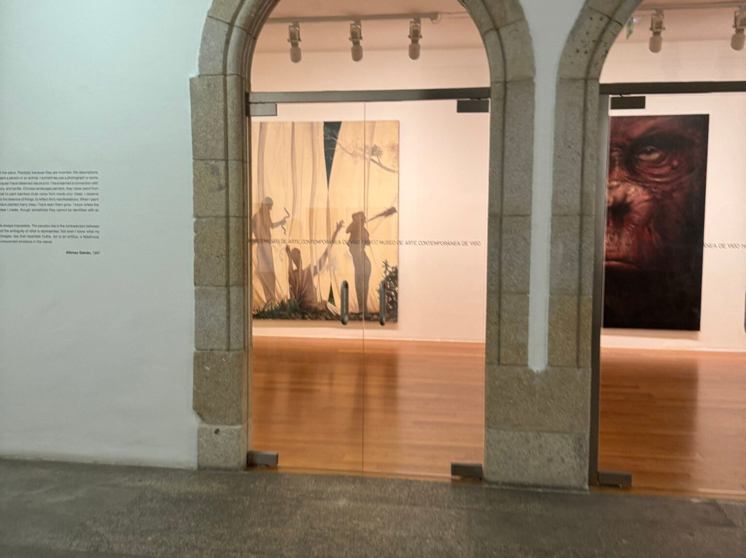 Museo de Arte Contemporanea-比戈必去景点