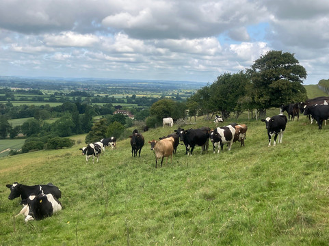 Foot Trails-巴斯必去景点