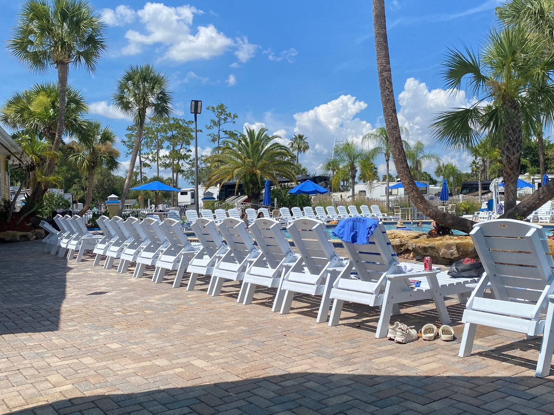 Encore Tropical Palms主图