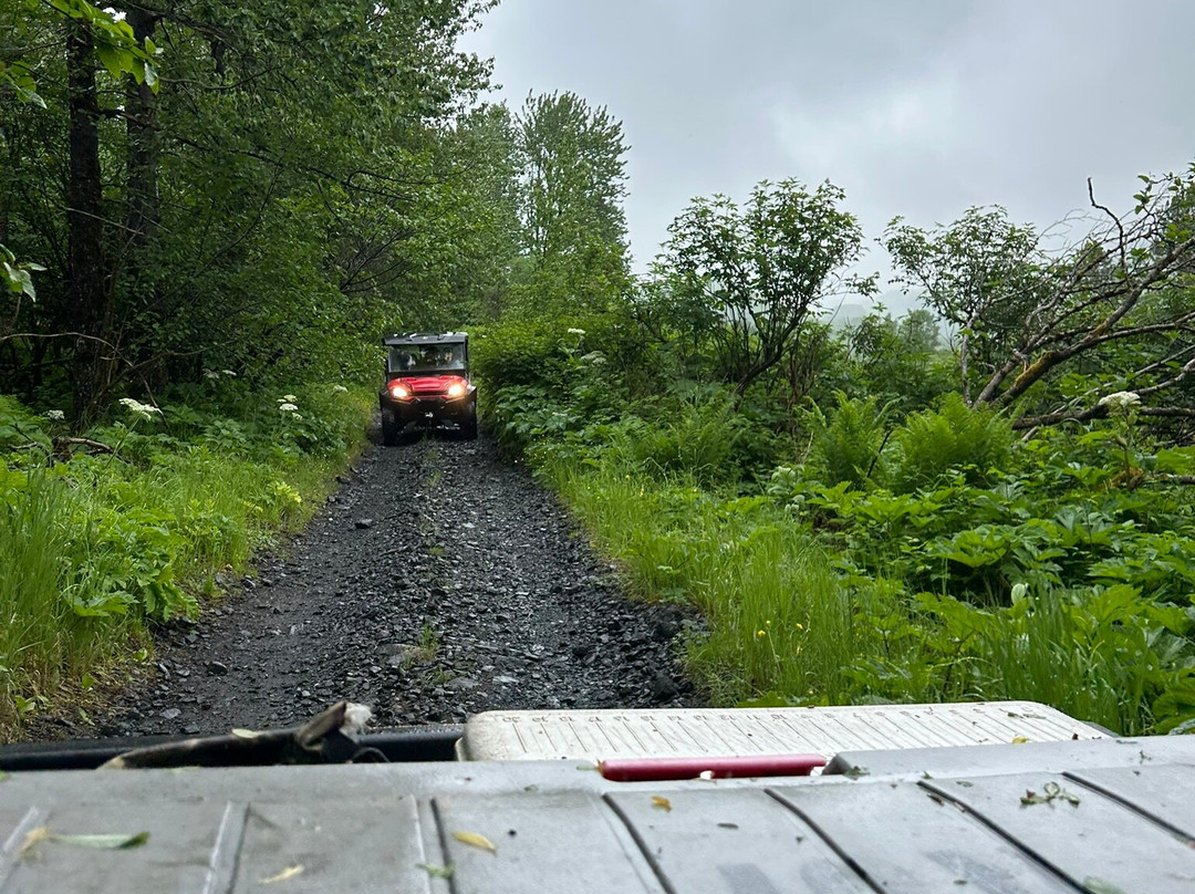 Head Shakers Kodiak-Kodiak必去景点