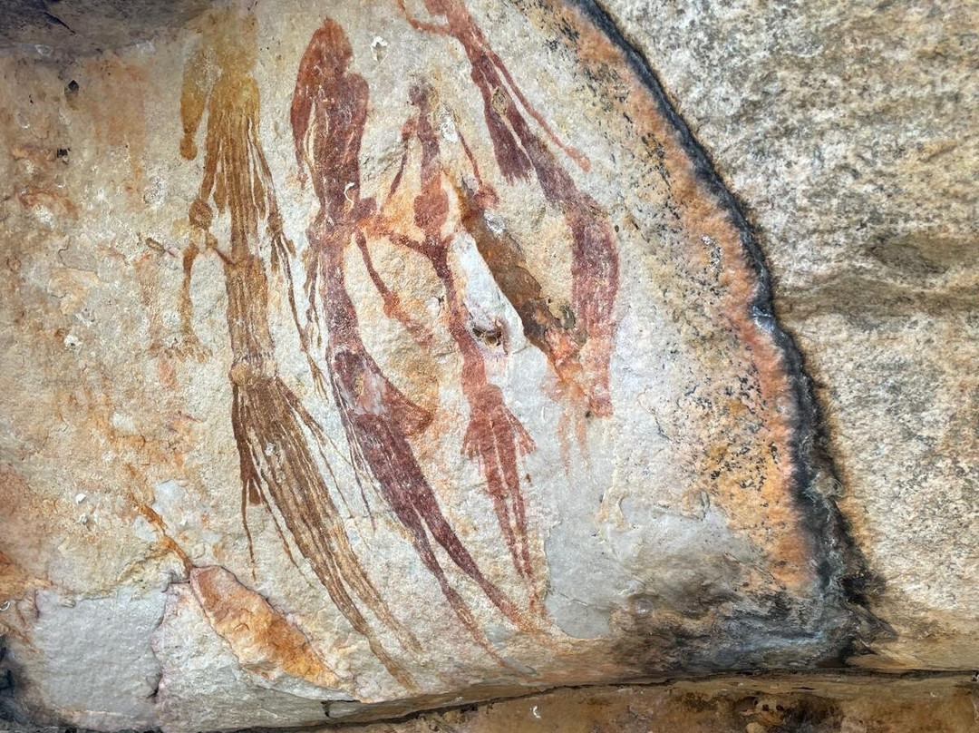 Kimberley Safari Tours景点图片
