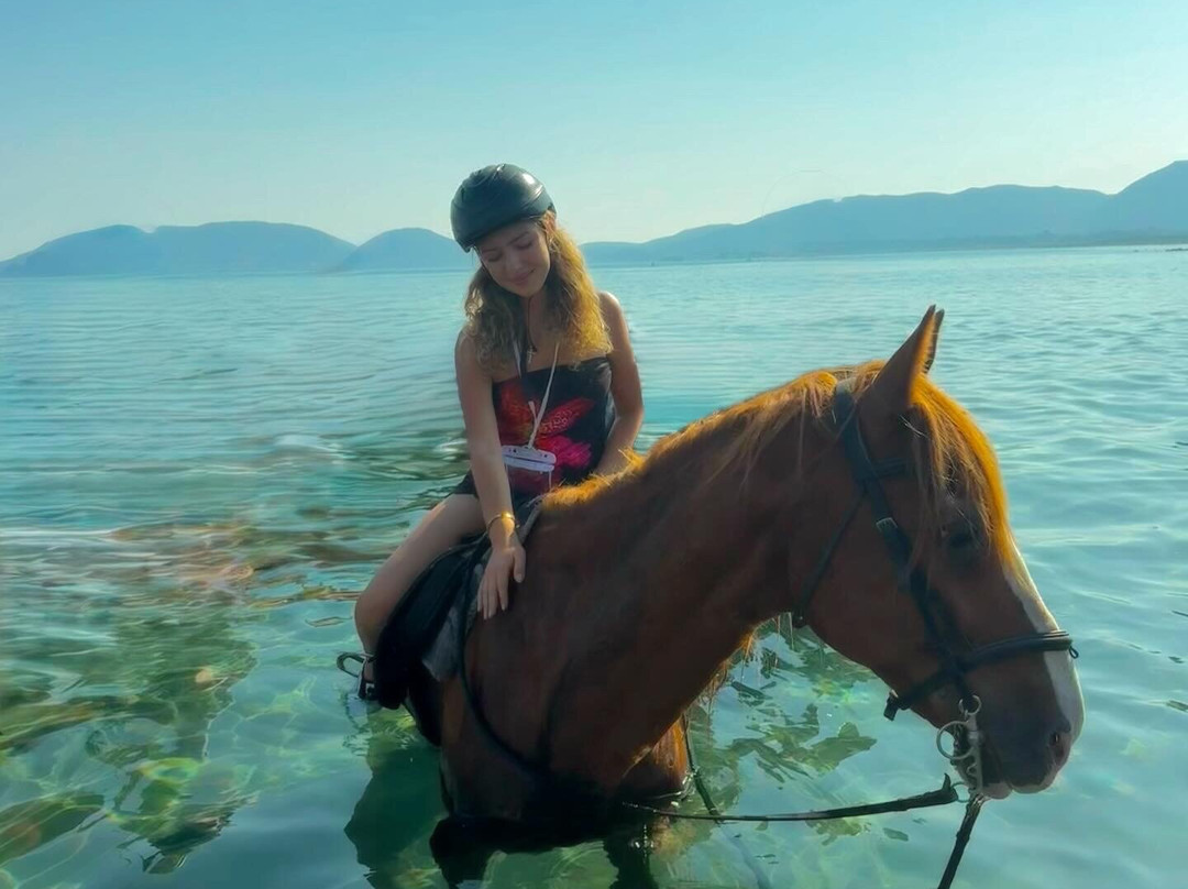 Happy Horses-扎金索斯必去景点