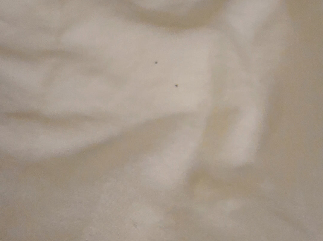 Drury Inn & Suites Fort Myers Airport Fgcu主图