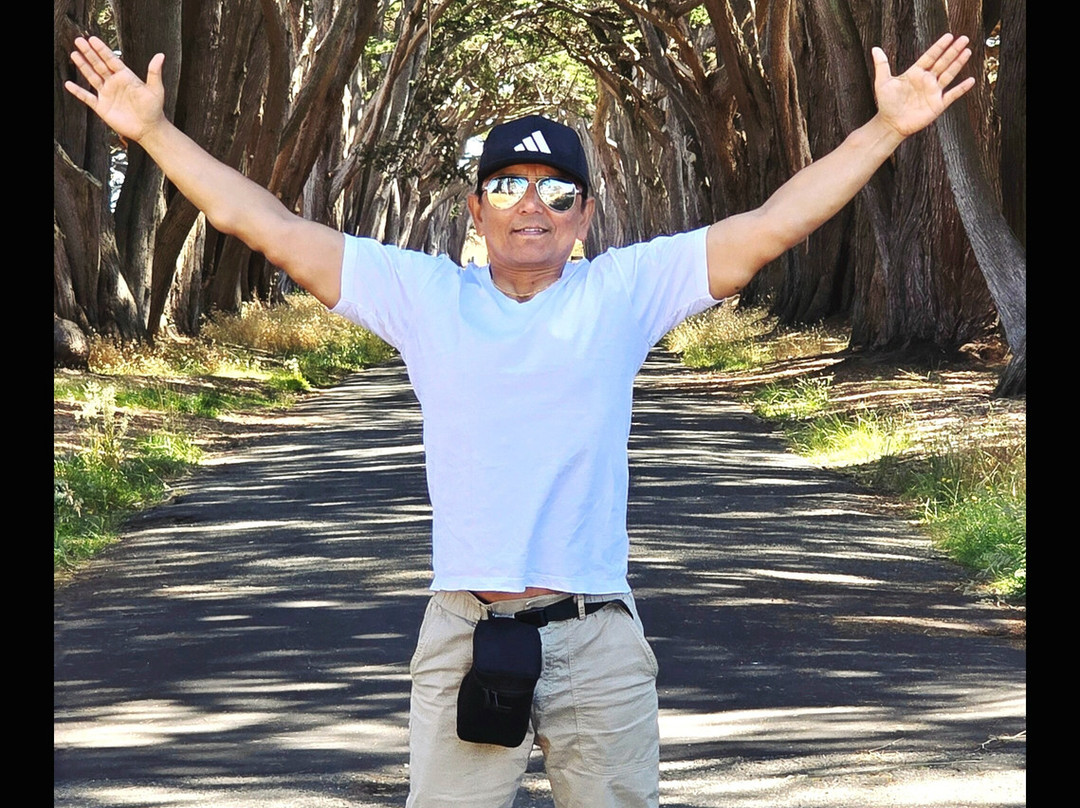 Cypress Tree Tunnel-Inverness必去景点