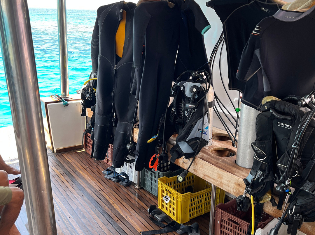 Pro Divers Corner-赫尔格达必去景点