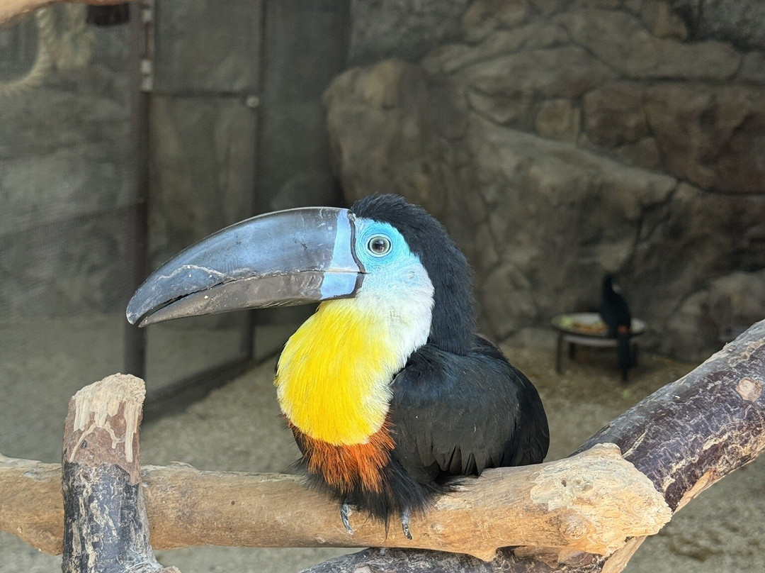 Safari Park-Gelendzhik必去景点
