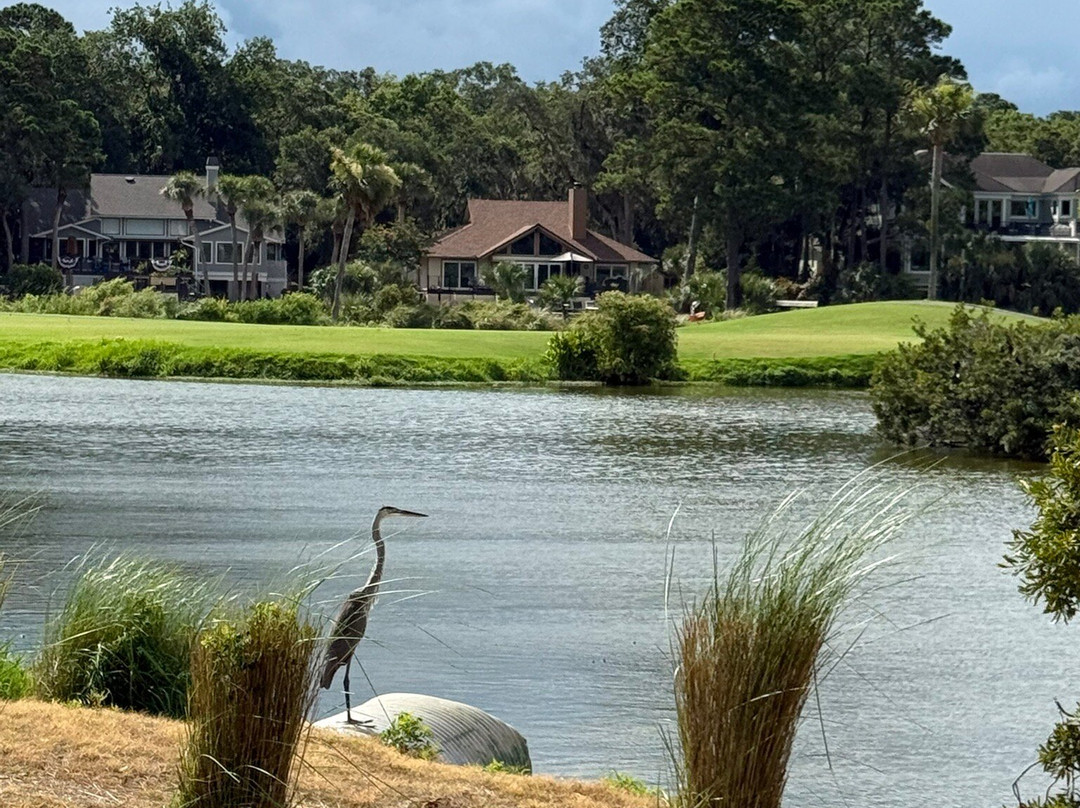 George Fazio Golf Course-希尔顿头岛必去景点