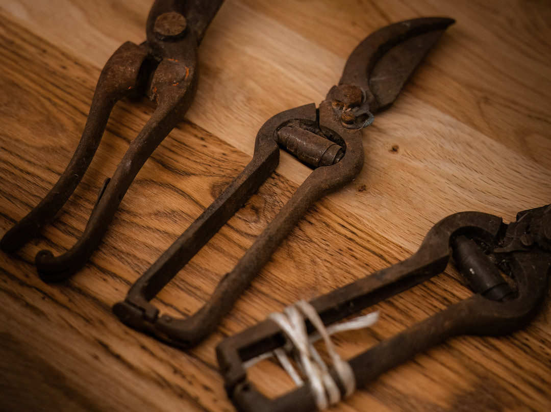 Vini Sara Meneguz-Tarzo必去景点