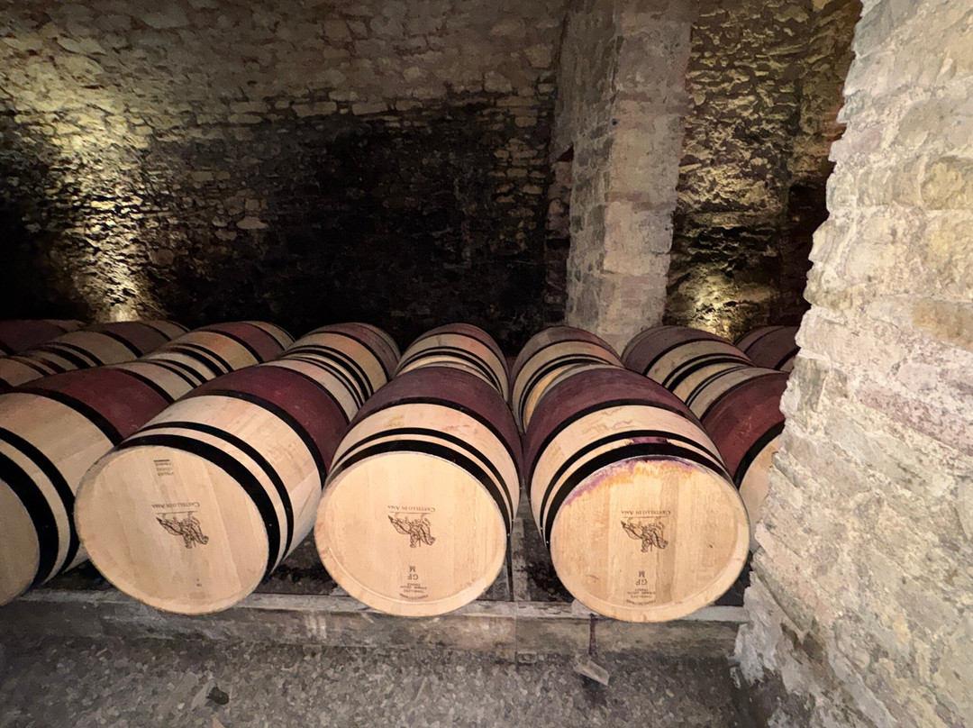 Castello di Ama-加约莱因基安蒂必去景点