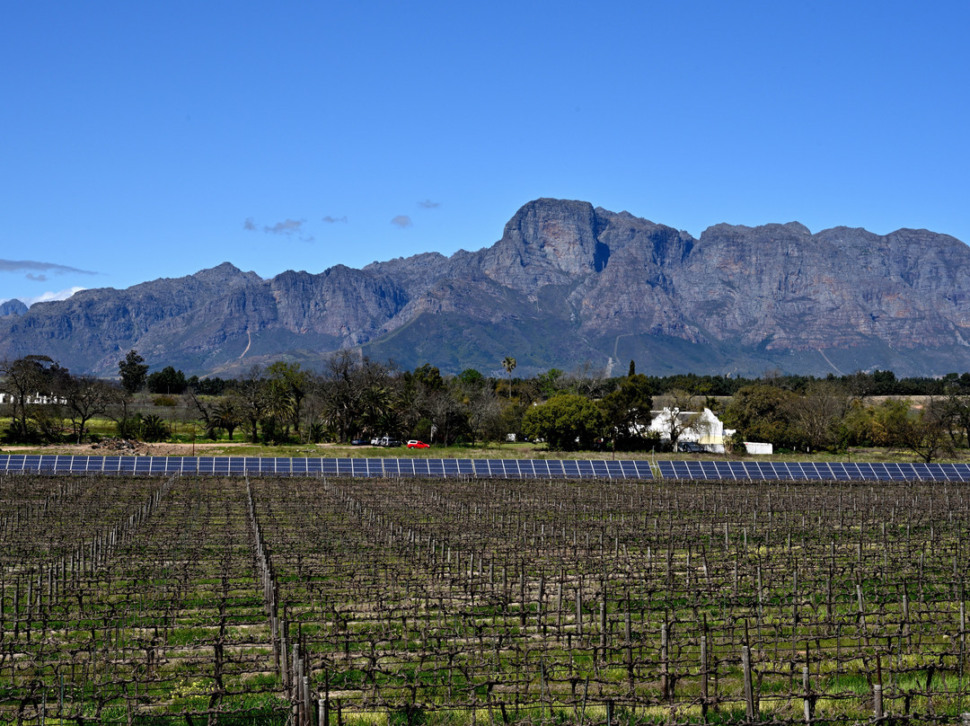 Vrede en Lust Winery-Simondium必去景点