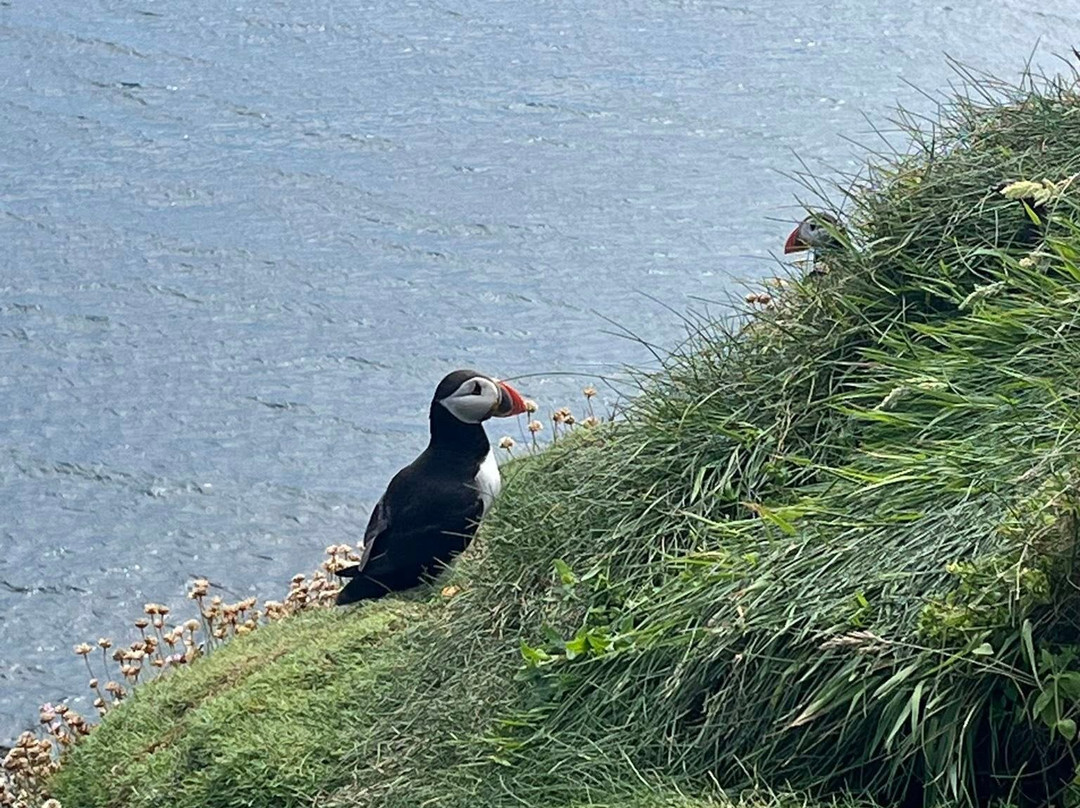 Shetland Explorer Tours-Lerwick必去景点