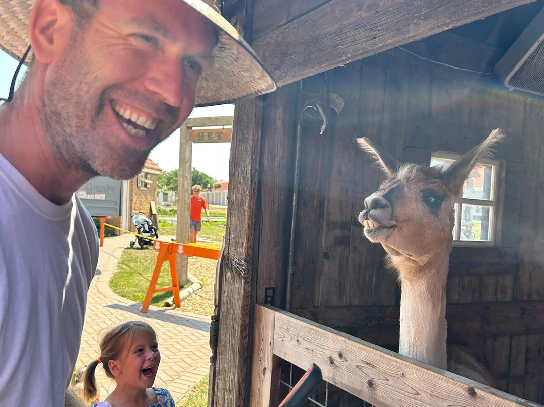 奈里斯荷兰村-荷兰村必去景点