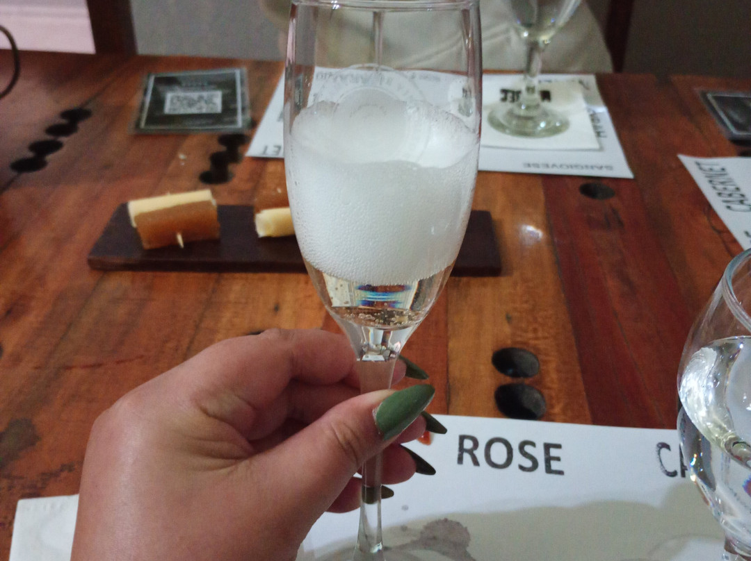 Bodega Familia Cecchin-Maipu必去景点