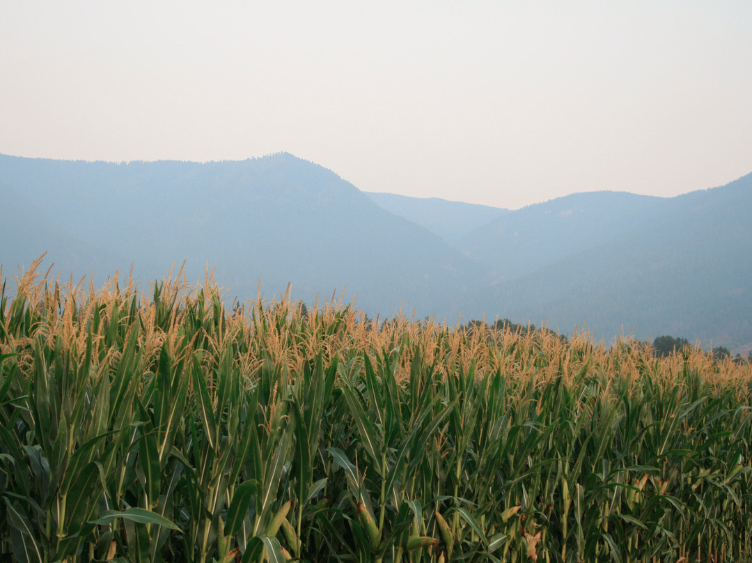 Armstrong Spallumcheen Visitor Centre-Armstrong必去景点