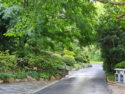 长风公园-上海市必去景点