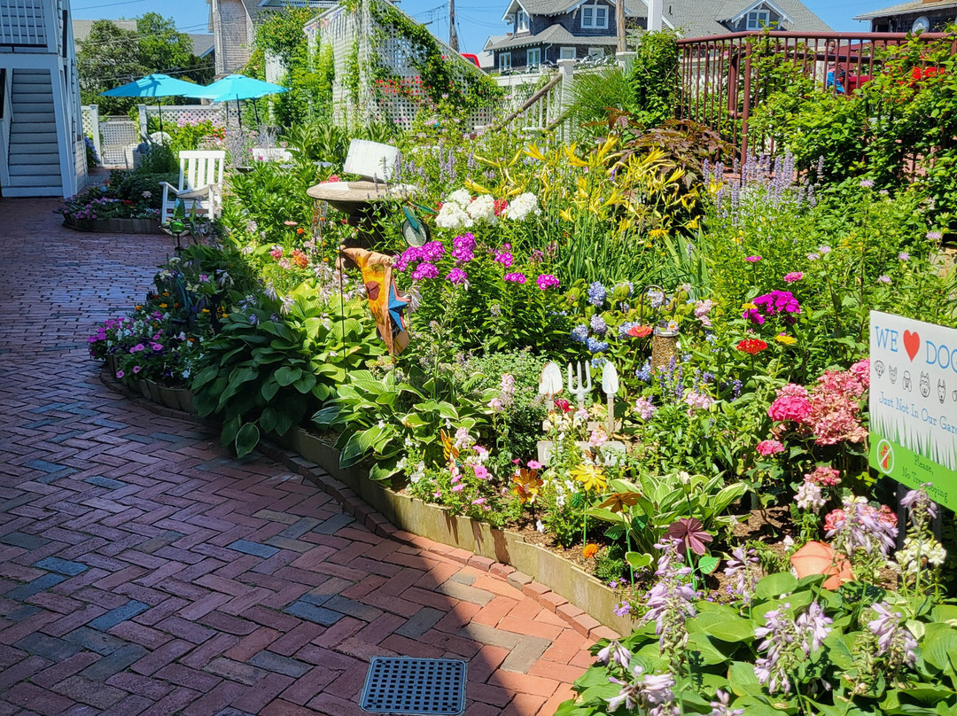 Martha's Vineyard Surfside Hotel主图