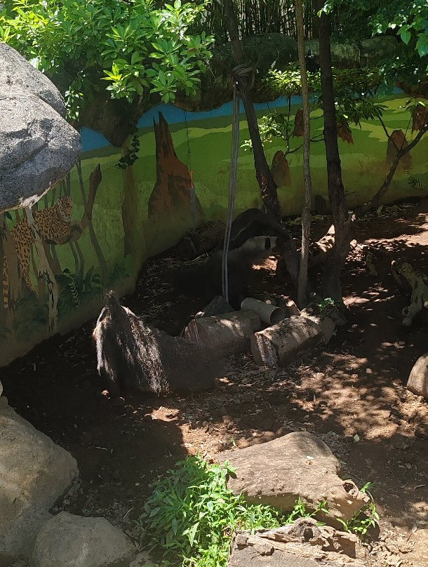 Edogawa Natural Zoo-江戸川区必去景点