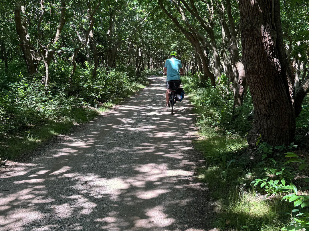 Nature Reserve de Manteling-Oostkapelle必去景点