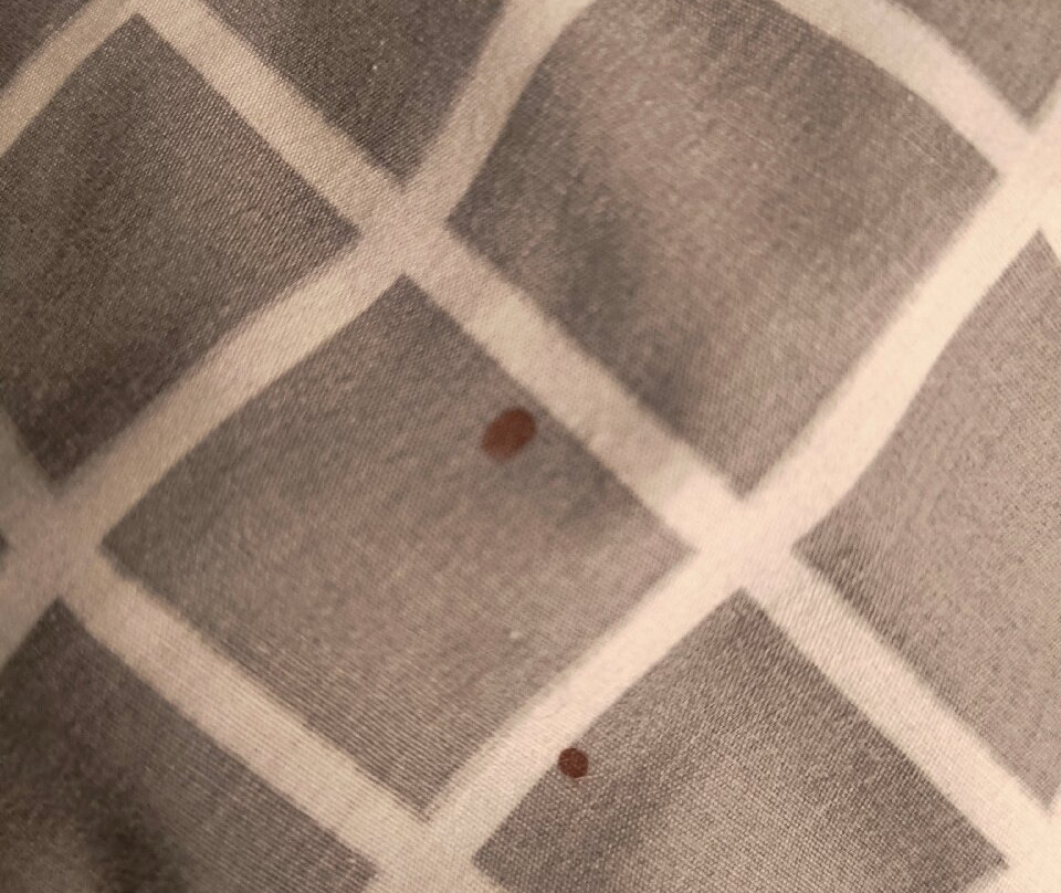 Hotel 10 Itajai主图