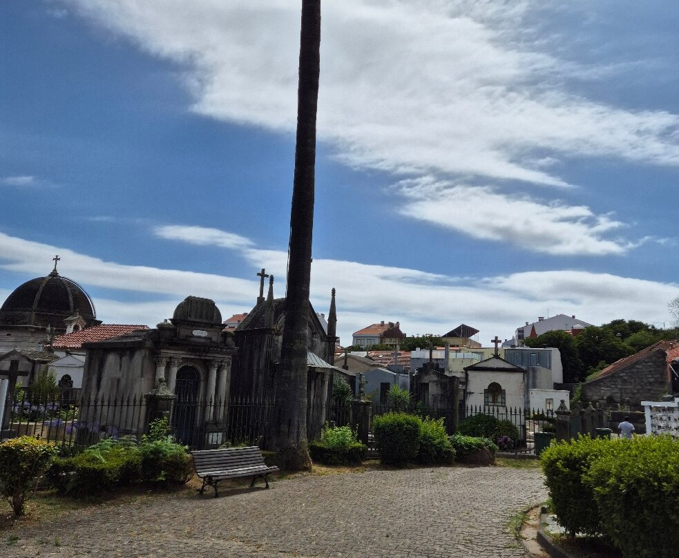 Cemitério do Prado do Repouso-波尔图必去景点