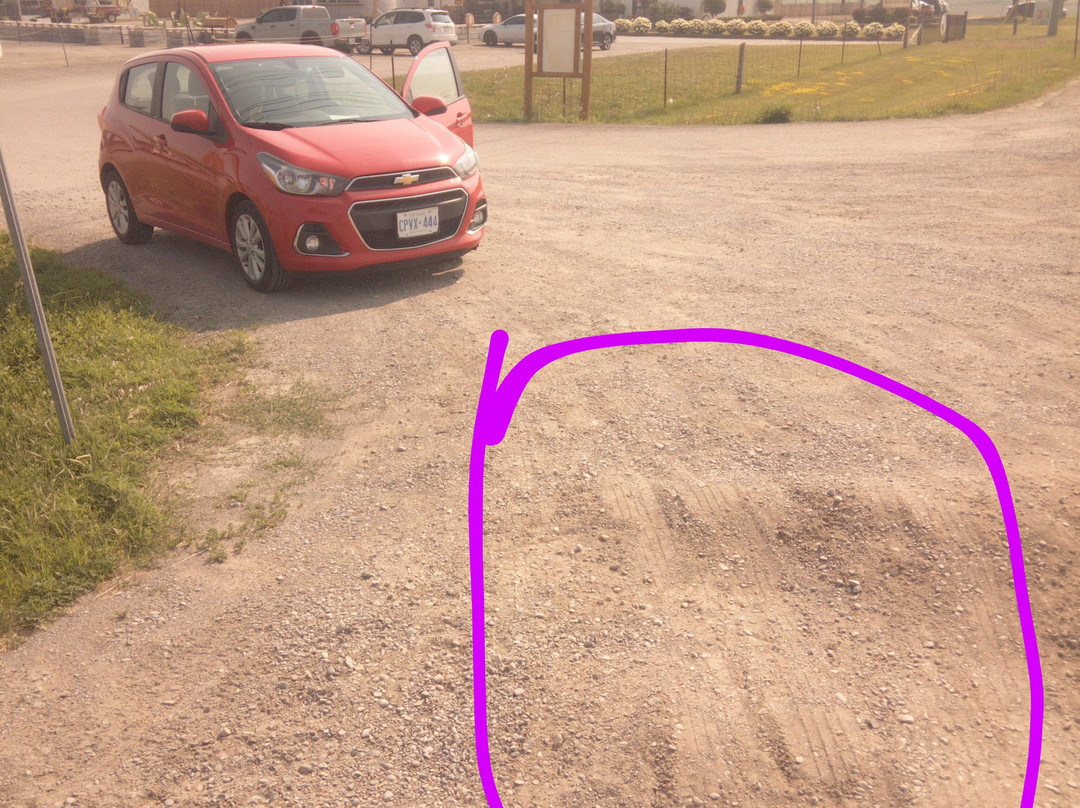 Pingles Farm Market-Hampton必去景点