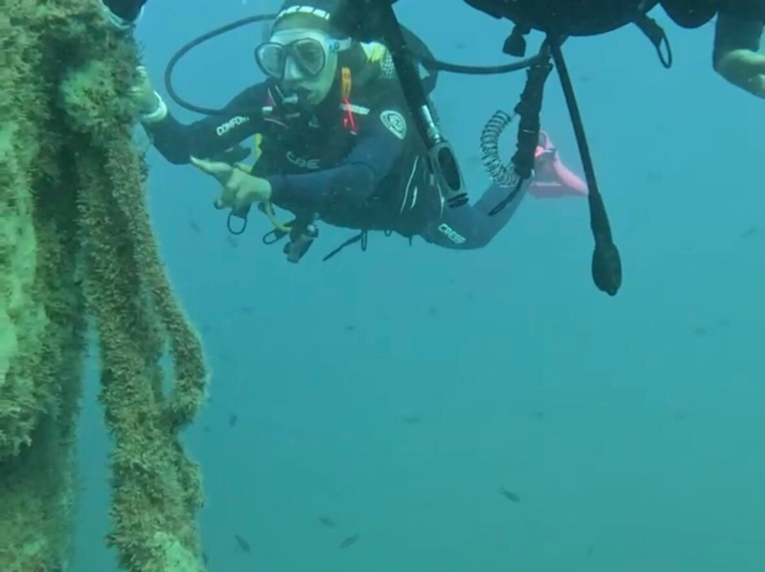 Ohana Diving-Miami Platja必去景点