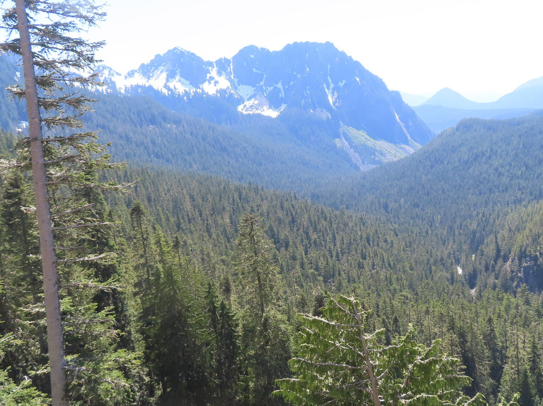 Reflection Lakes-雷尼尔山国家公园必去景点