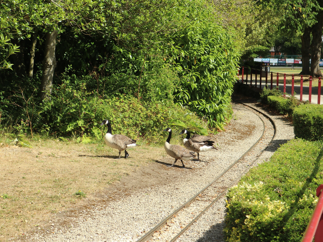 Queen's Park-切斯特菲尔德必去景点