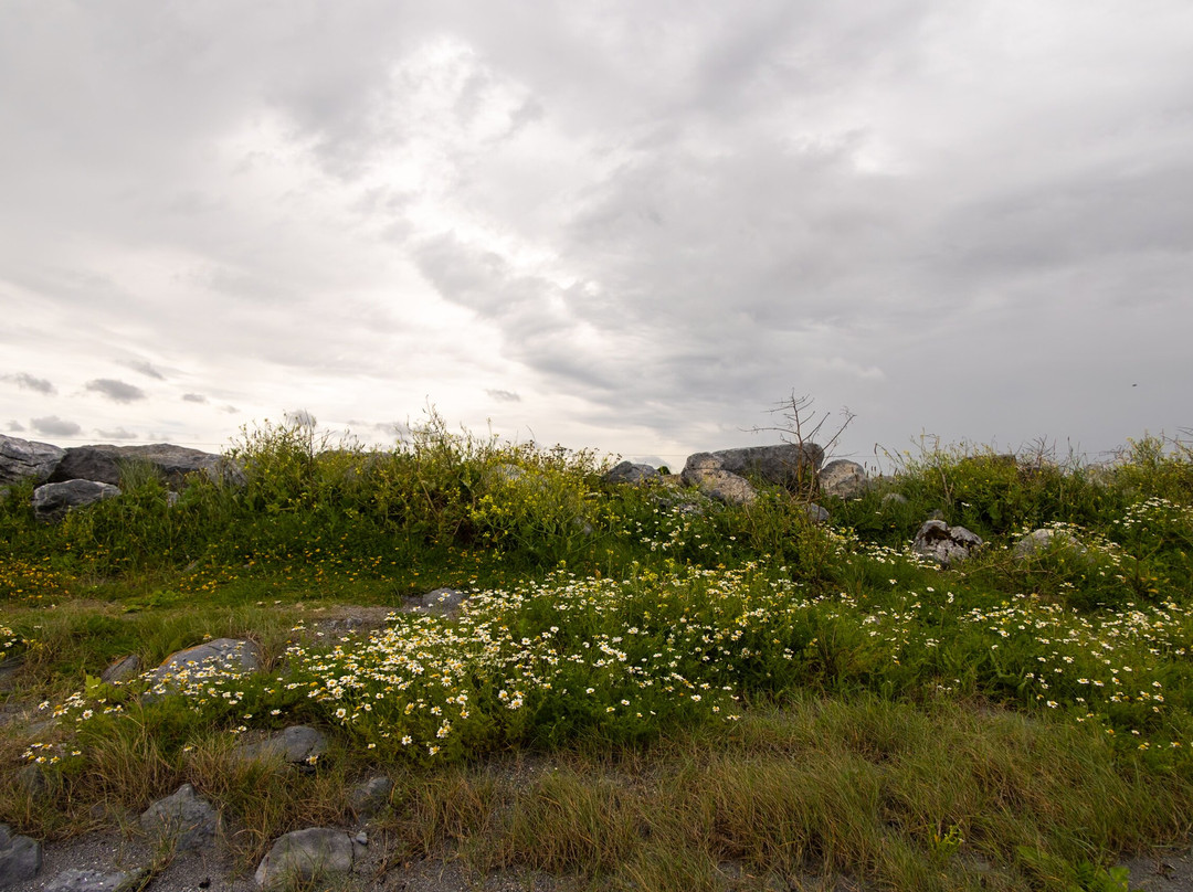 Traught Beach-金瓦拉必去景点