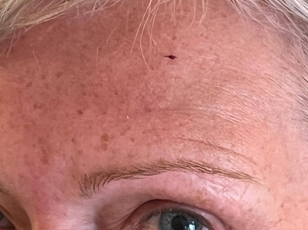 The Ibiza Twiins主图