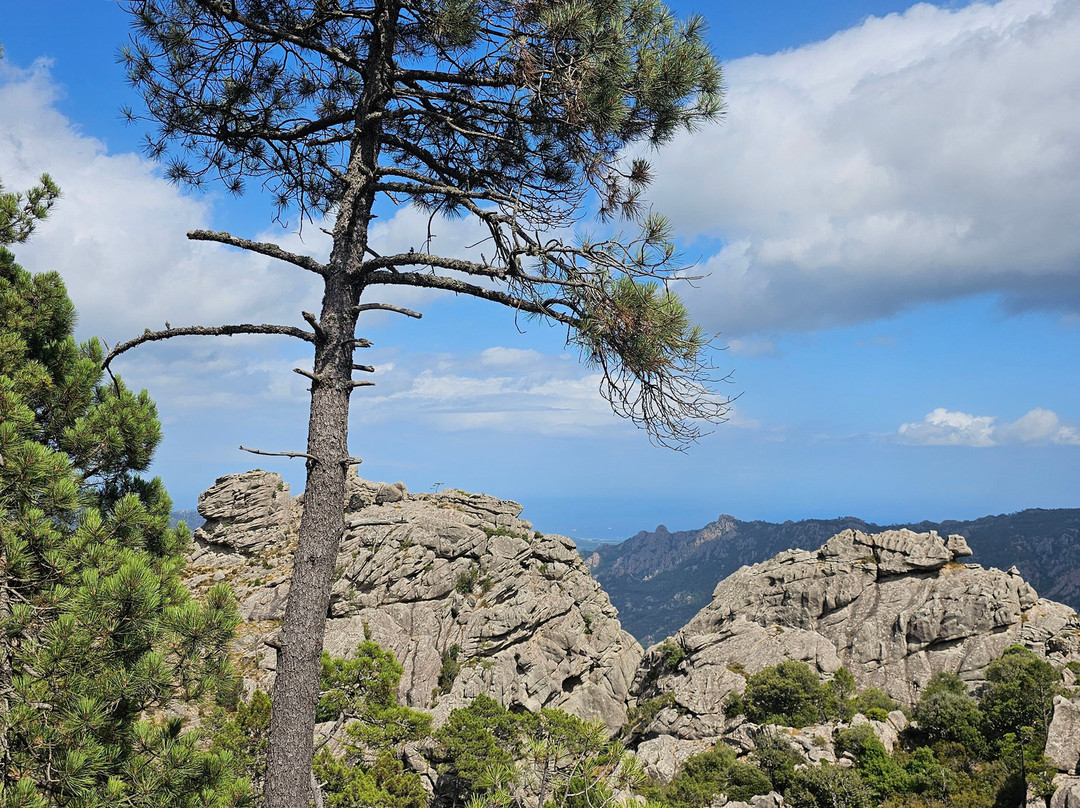 Cascade de Piscia-维琪奥港必去景点