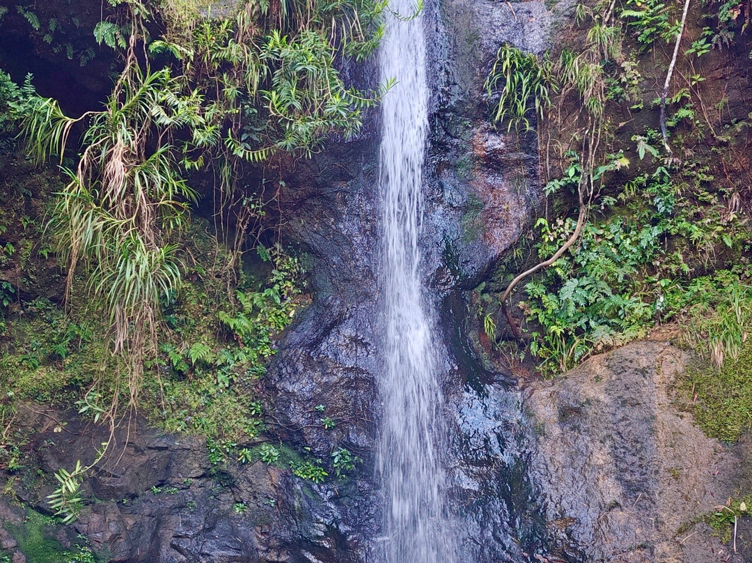 Cunca Plias Waterfall-Labuan Bajo必去景点
