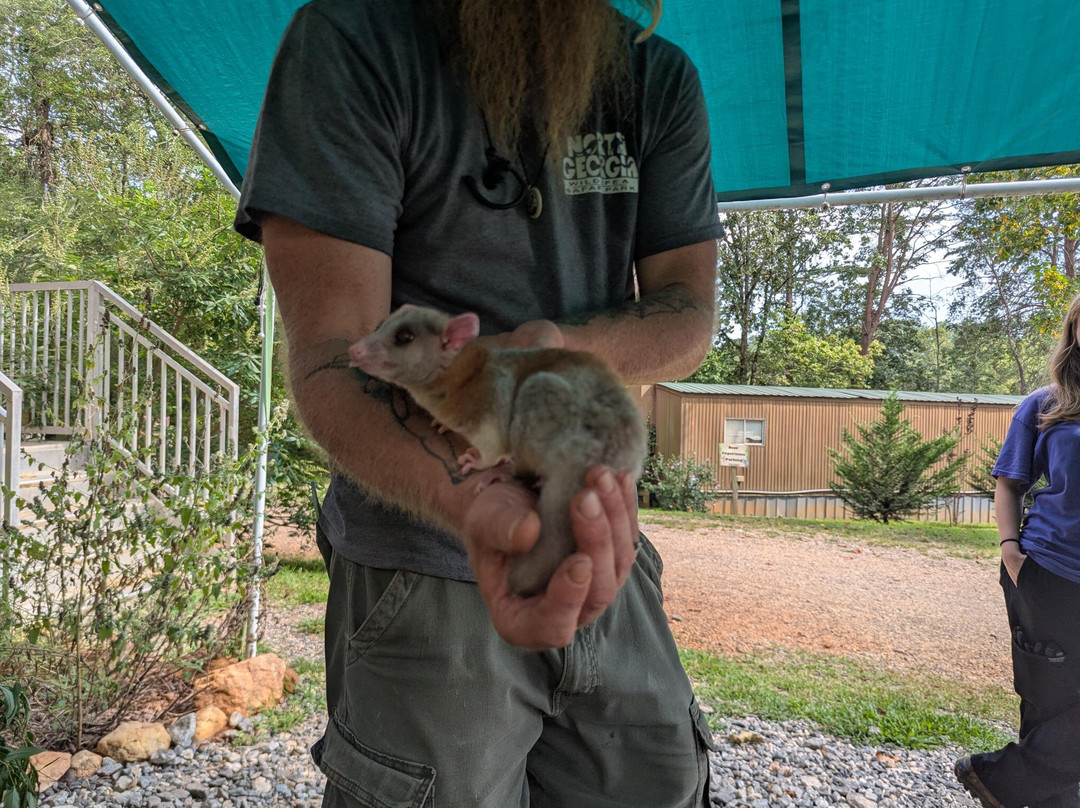 North Georgia Wildlife Park-Cleveland必去景点